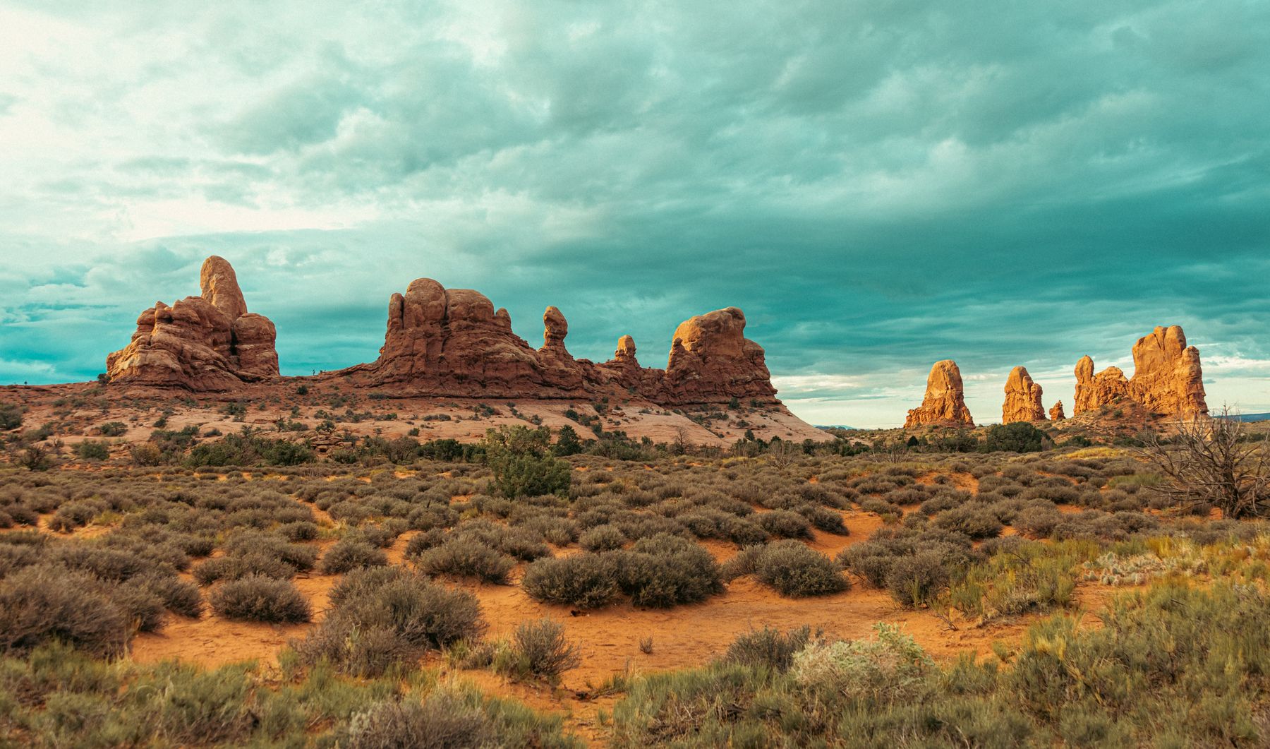 Wide Vista of Desert Rock Formations